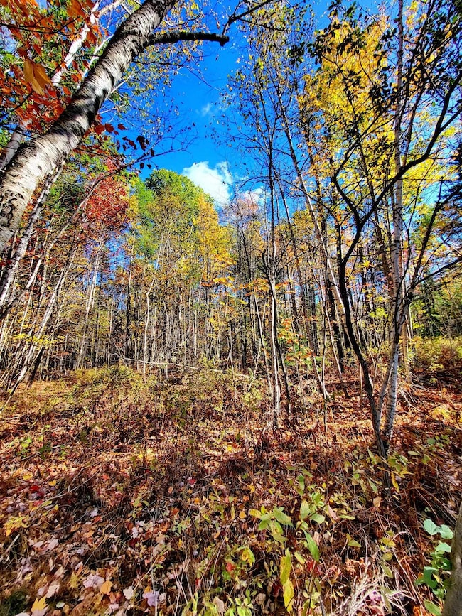 00 Swazey Ln unit 14, Bethlehem, NH 03574 - photo 5