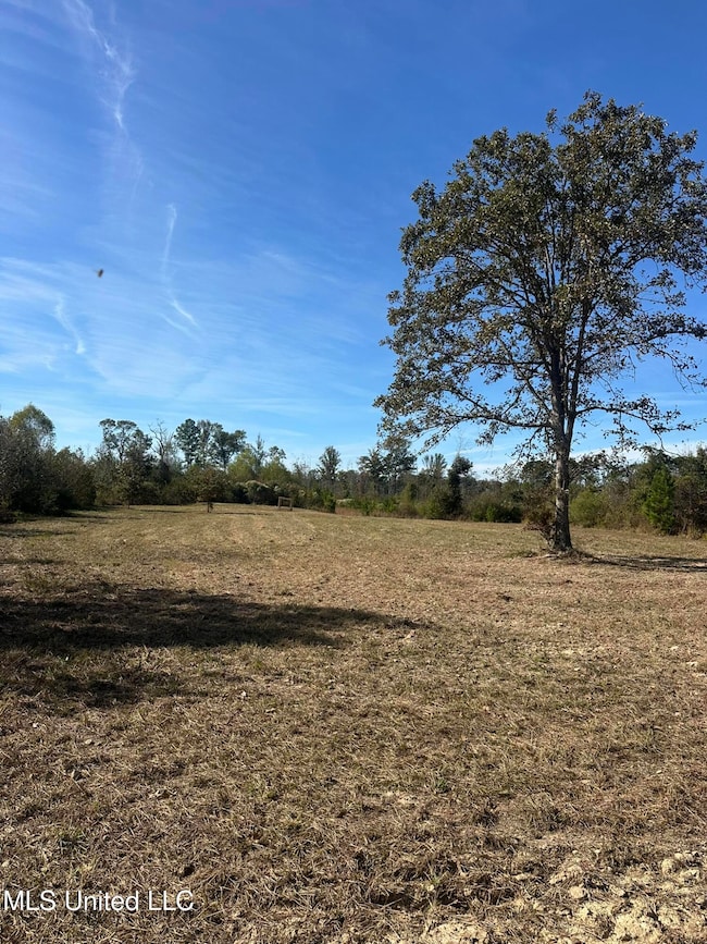 0 County Road 1327, Philadelphia, MS 39350 - photo 7