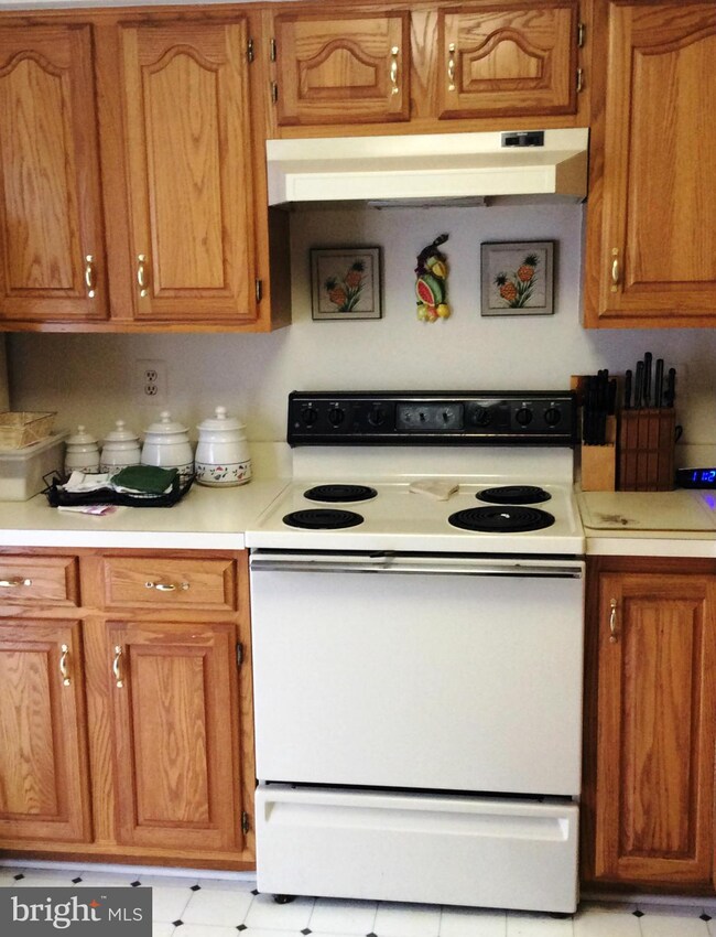 2207 Riding Crop Way, Windsor Mill, MD 21244 - photo 5