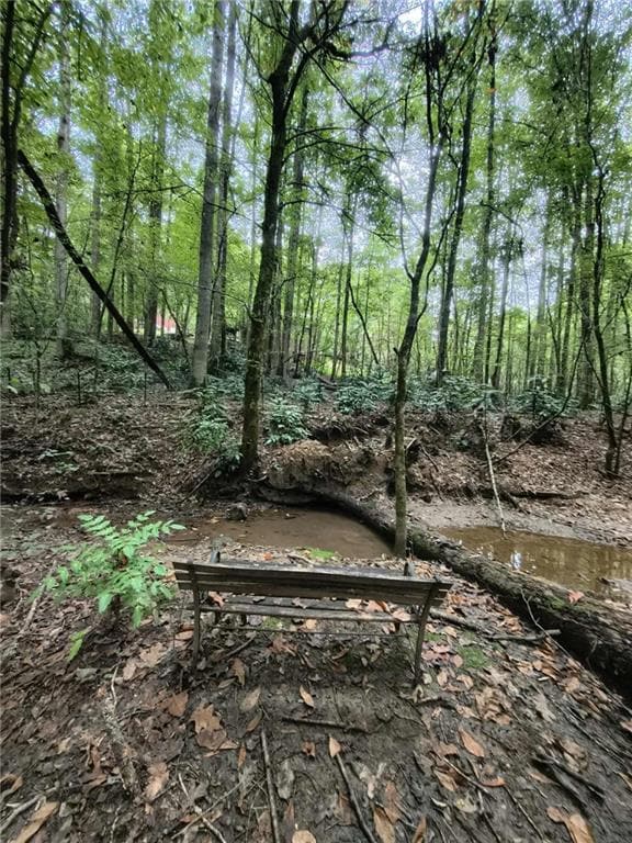 131 Chestatee Springs Ridge, Dahlonega, GA 30533 - photo 6