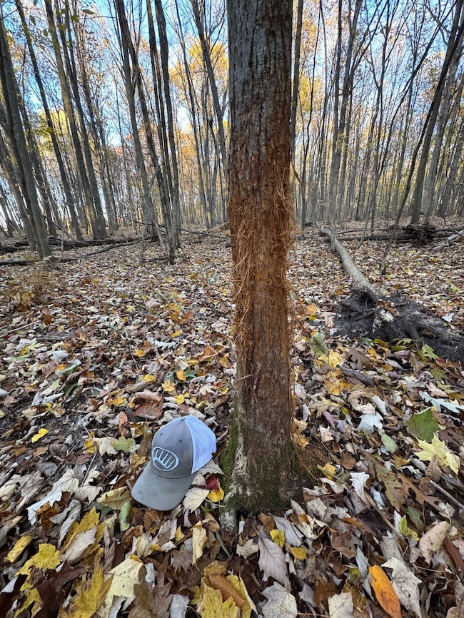 W Birch Run Rd, Burt, MI 48417 - photo 4