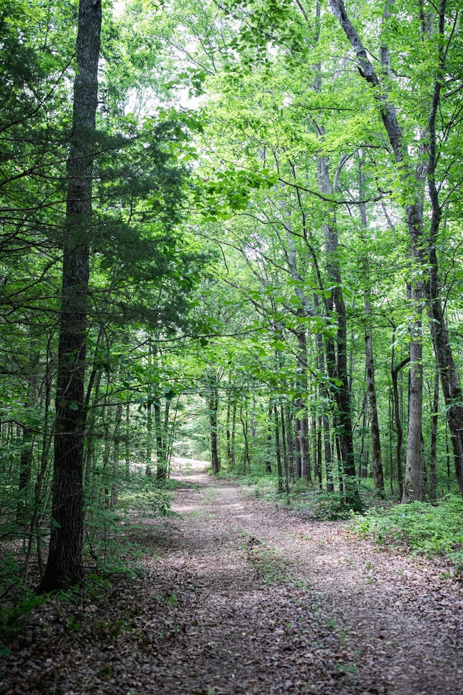 5450 Old Highway 96, Franklin, TN 37064 - photo 6