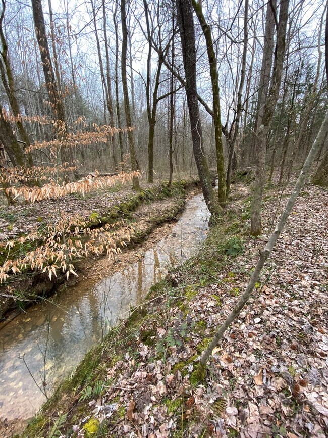 159 Joe Harris Ln, Cookeville, TN 38506 - photo 4