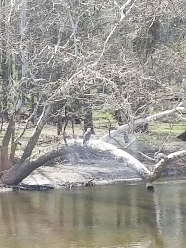 15941 14th Rd, Plymouth, IN 46563 - photo 6