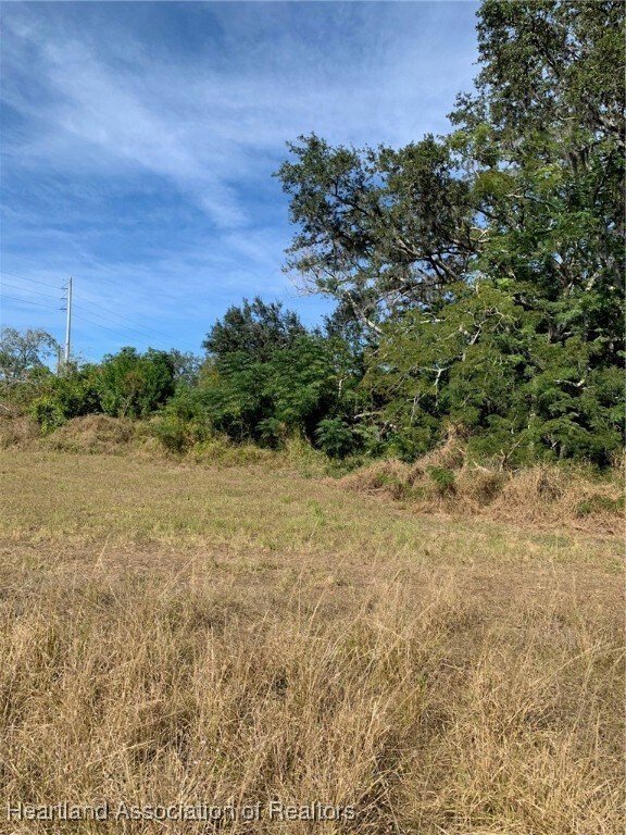 407 E Citico St, Avon Park, FL 33825 - photo 6