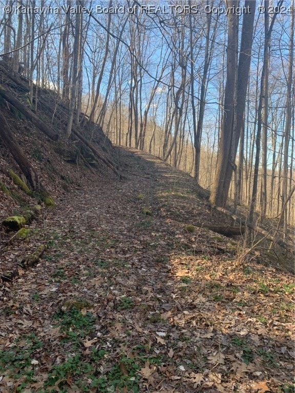 TBD Buckeye Creek Rd, Sutton, WV 26601 - photo 5