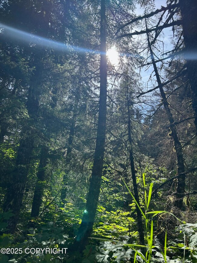 L2 & 2A Rocky St, Seldovia, AK 99663 - photo 7