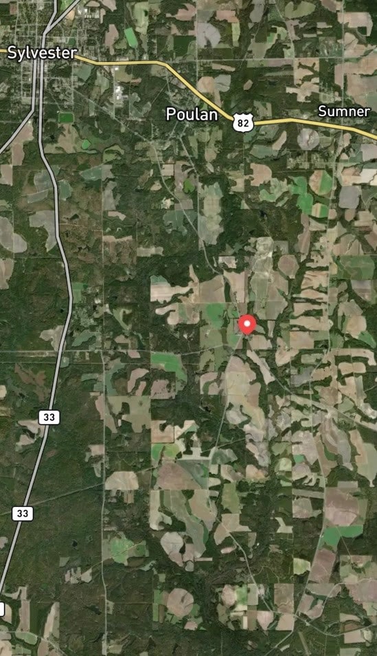 000 Georgia 256, Sylvester, GA 31791 - photo 3