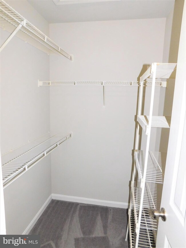 5790 Indian Cedar Ct, Frederick, MD 21703 - photo 7