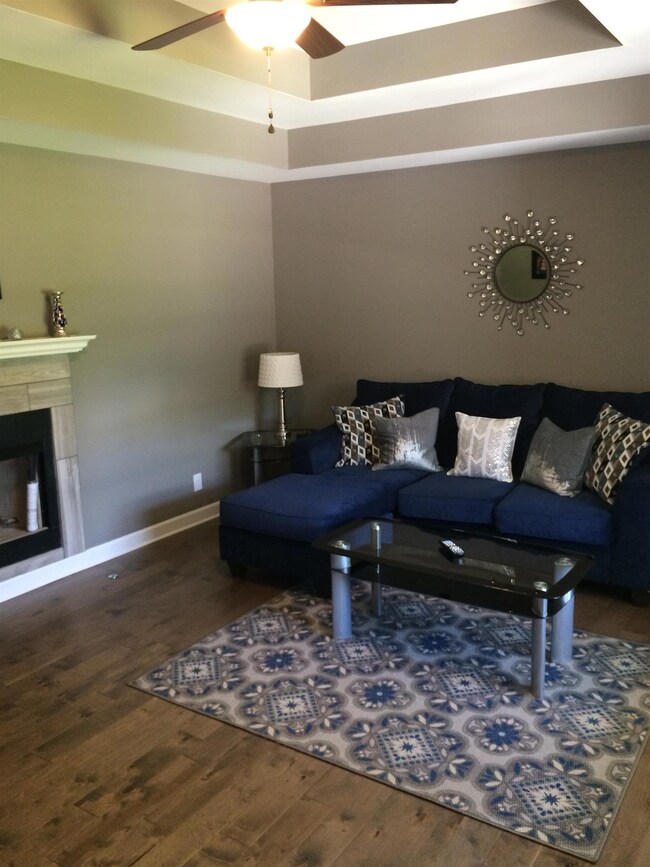 Trey ceilings in living room