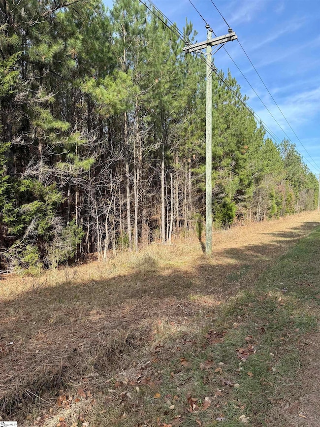 00 High Point Rd, Saluda, SC 29138 - photo 6