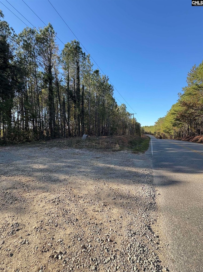 1236 Crane Church Rd, Columbia, SC 29203 - photo 3