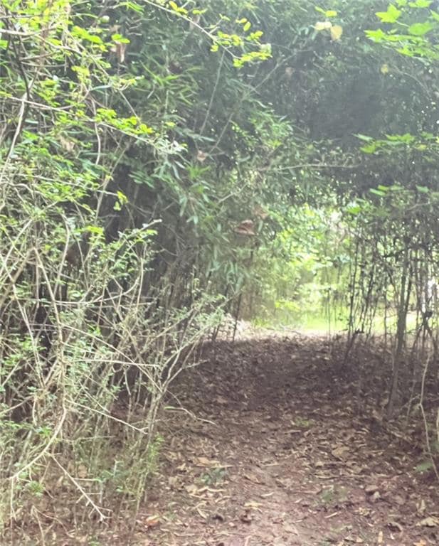 View of pathway to stream behind house