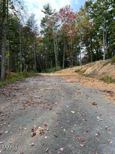 2315 High Top Loop, Sevierville, TN 37862 - photo 2