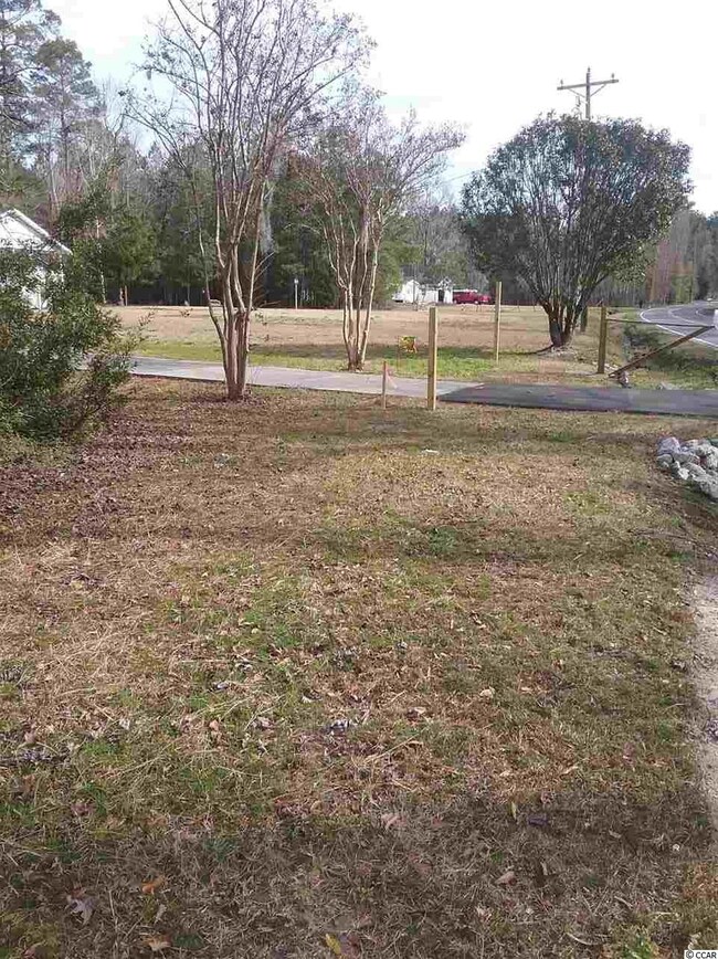 3766 Pee Dee Hwy unit Lot next to 3748 Pee, Conway, SC 29527 - photo 3