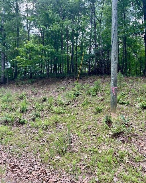 133 Adair Dr, Ranger, GA 30734 - photo 3