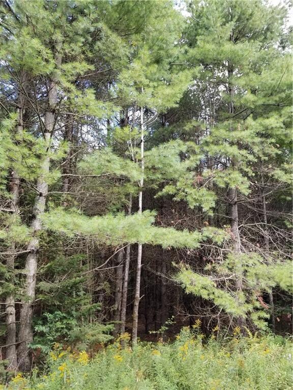 Come build your cabin in the woods
