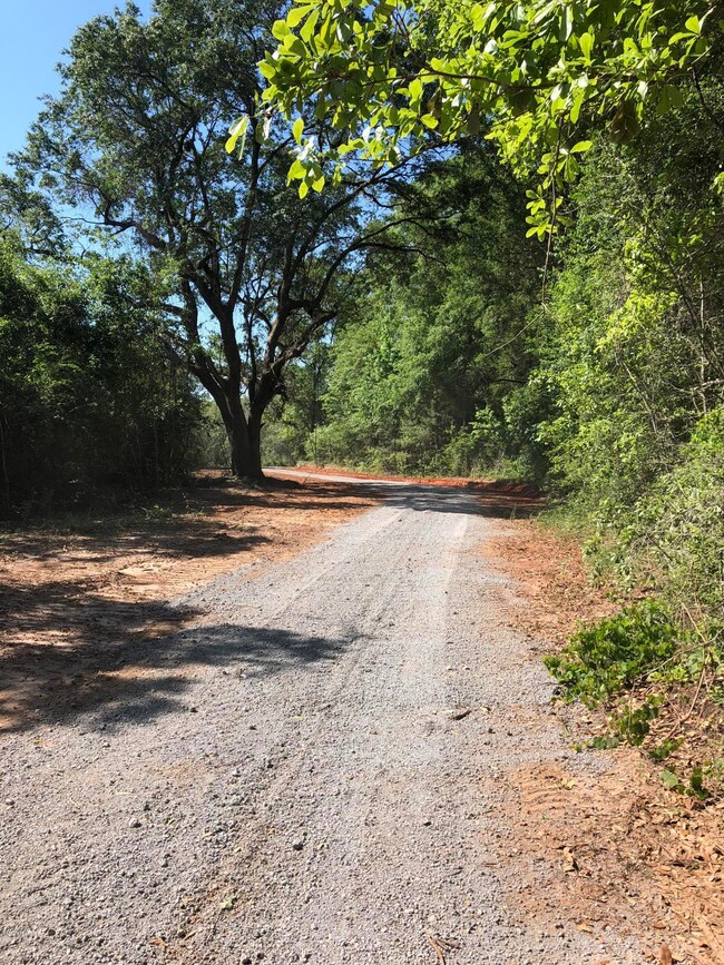 0 Barton Agricola Rd unit 3332395, Lucedale, MS 39452 - photo 2