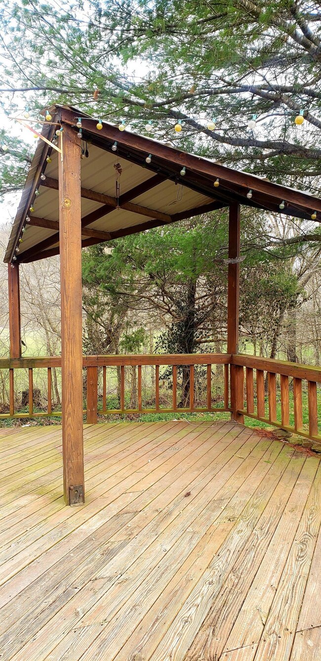 9632 Farm Road 1195, Aurora, MO 65605 - photo 5