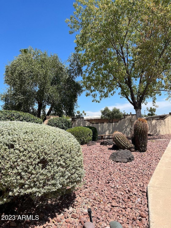 13642 N 109th Ave unit 17F, Sun City, AZ 85351 - photo 5