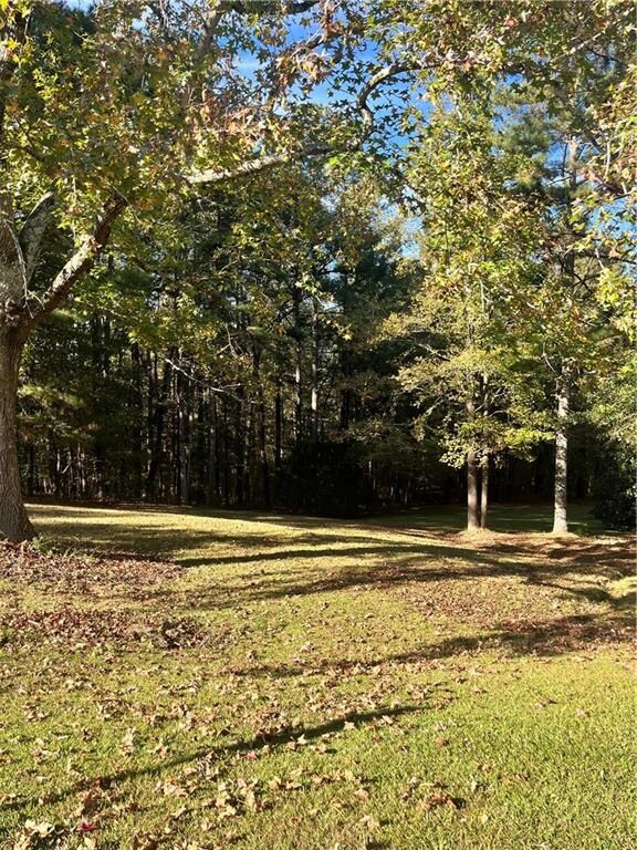 1675 Beagle Run NW unit 1, Monroe, GA 30656 - photo 3