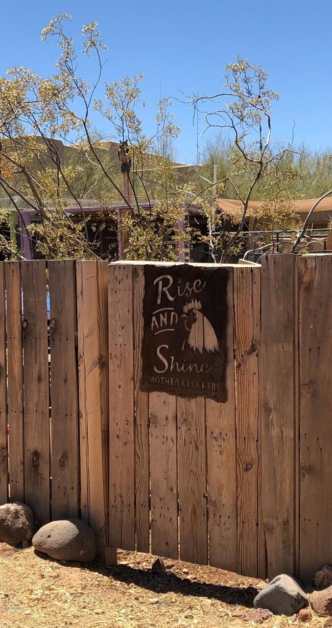 chicken yard