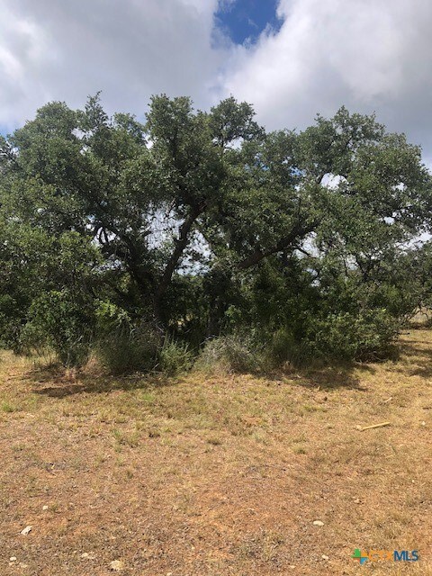 112 Peter Kleid Loop Dr unit 3, Blanco, TX 78606 - photo 5