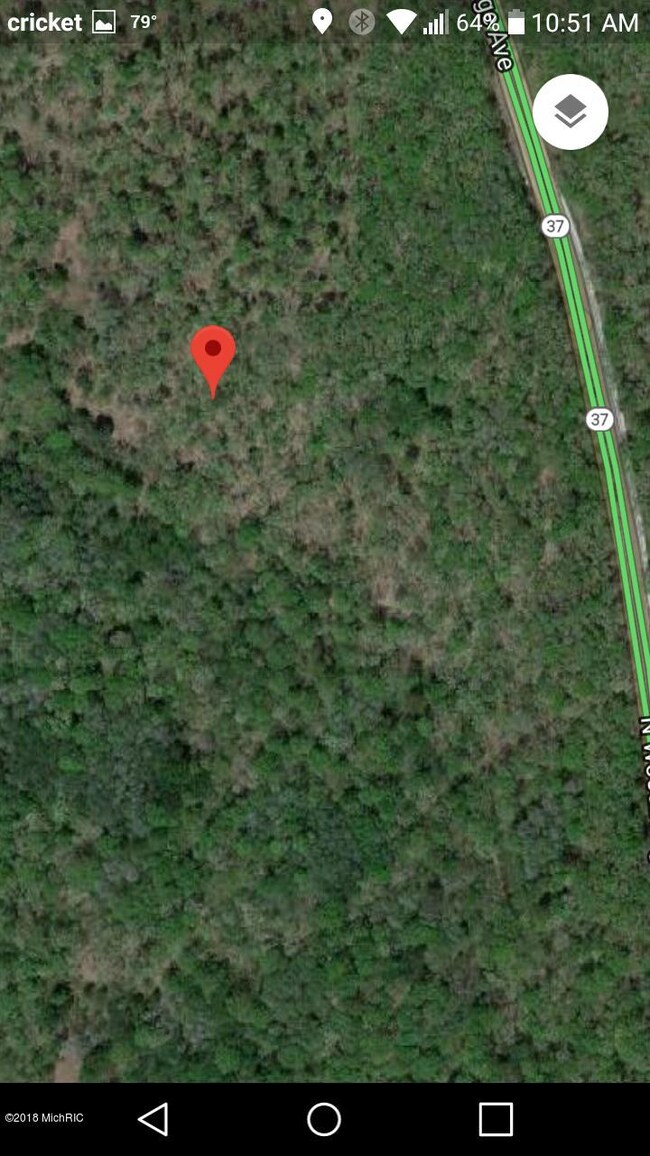 9577 N Woodbridge Rd, Bitely, MI 49309 - photo 3