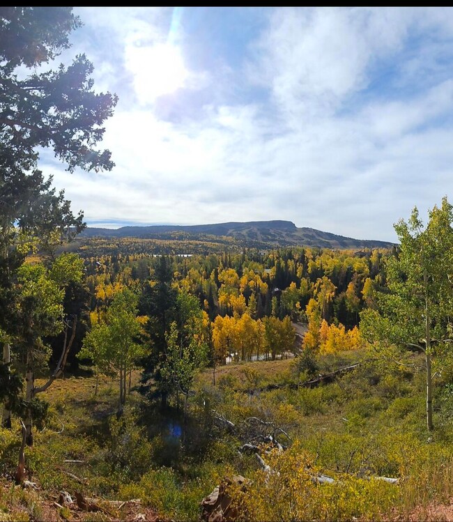 view and ski resort