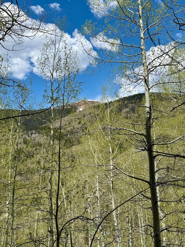 0 S Silver St unit 13-14 43499, Rico, CO 81332 - photo 2