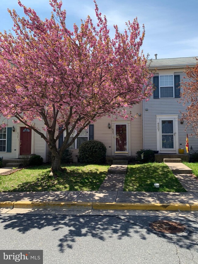 6505 Mallery Ct, Frederick, MD 21703 - photo 5