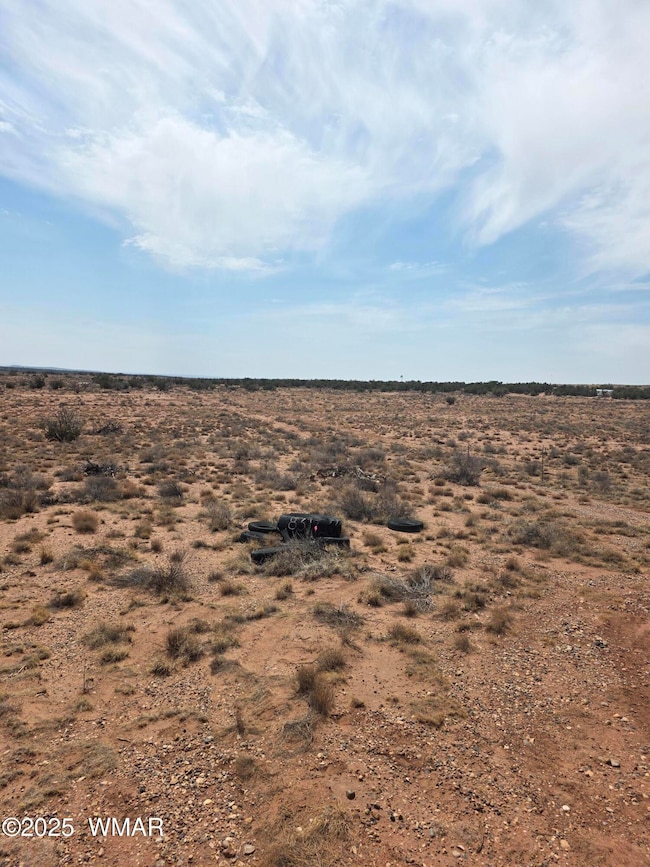 8317 Buckskin Trail, Snowflake, AZ 85937 - photo 2