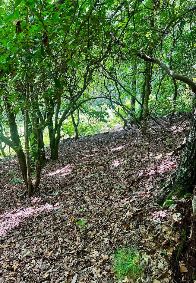 Tbd Indian Hills Drive Lot unit WP001, Murphy, NC 28906 - photo 2