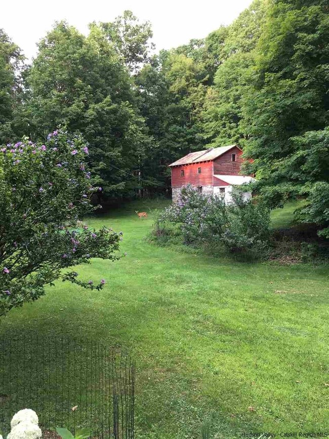 Photo 5