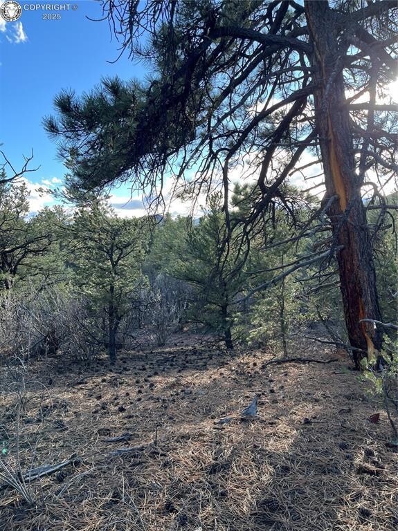 0 Q Path unit 7992612, Cotopaxi, CO 81223 - photo 5