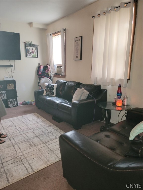 lower family room