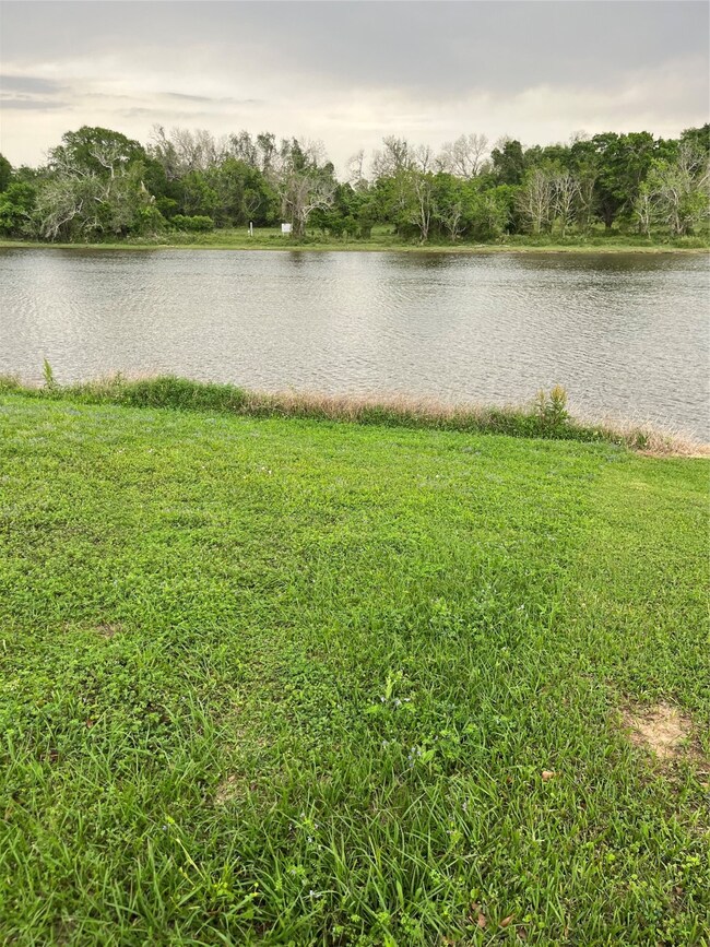 1175 Riverview Ranch Dr, Brazoria, TX 77422 - photo 3