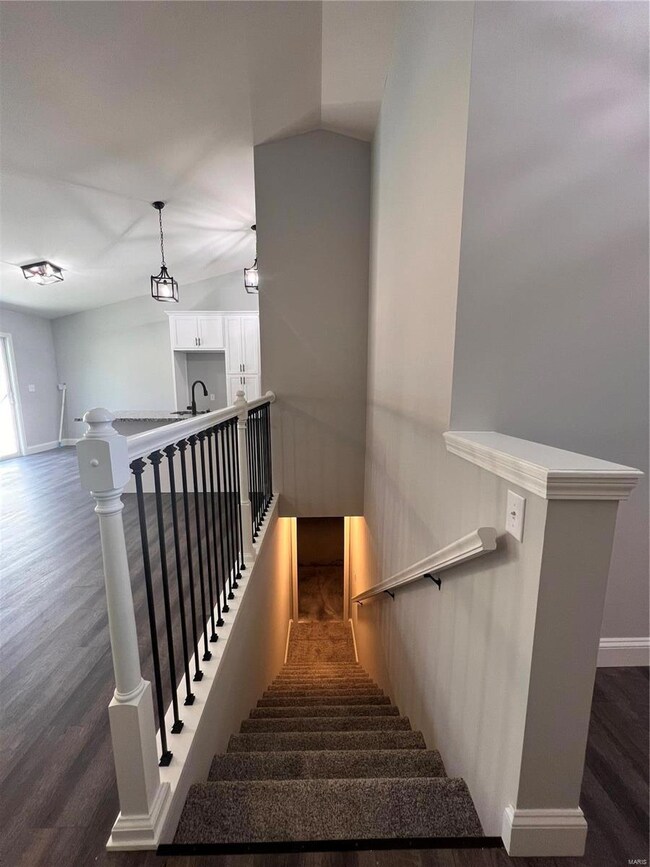 Only Carpet in the home are the steps leading down