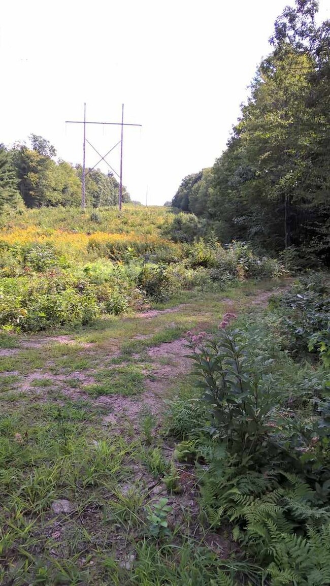 0 Bolton Rd, Winchester, NH 03470 - photo 3