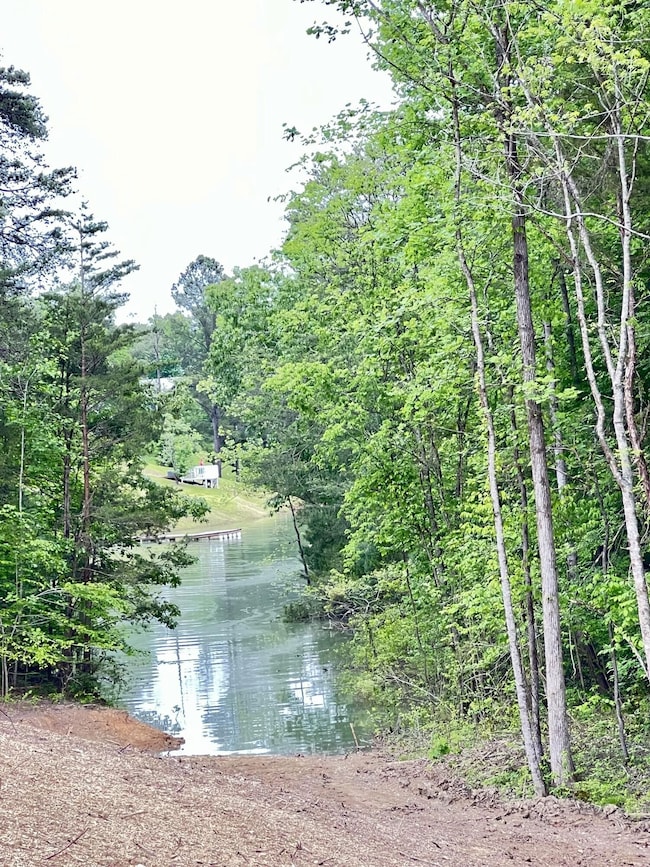 1801 Bootbluff Trail, Dandridge, TN 37725 - photo 3