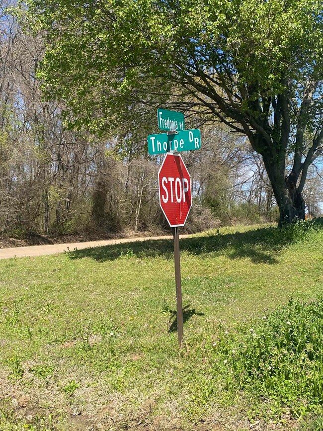 00 Fredonia Rd, Mason, TN 38049 - photo 6
