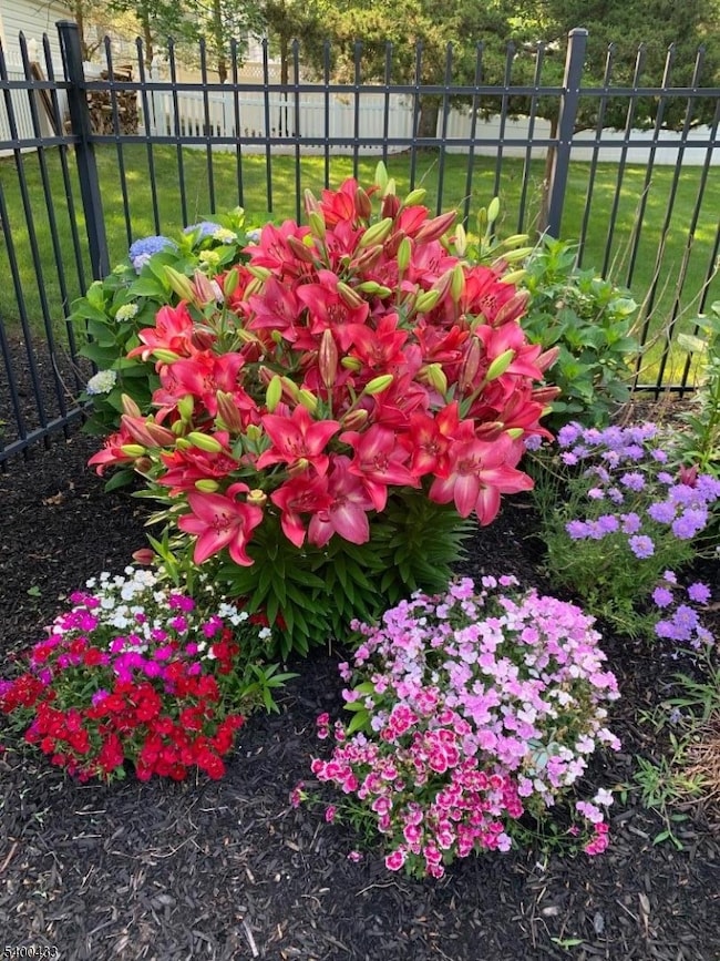 181 Berkley Ave, Belle Mead, NJ 08502 - photo 6