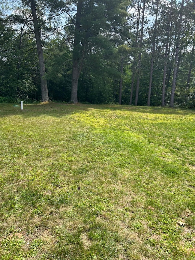 7616 Walleye Way, Lake Tomahawk, WI 54539 - photo 4