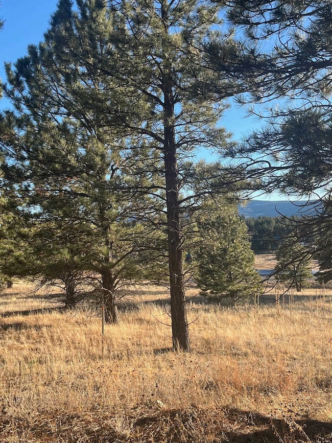 1 and 2 Lower Rd, Black Lake, NM 87710 - photo 2