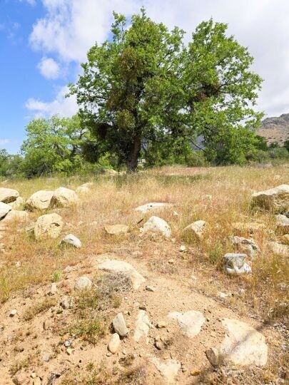 349-127-14, Bodfish, CA 93205 - photo 6