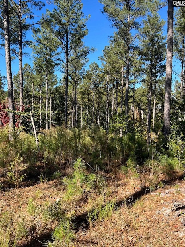 DRF 3 Dawkins Rd unit DRF 3, Pacolet, SC 29372 - photo 4