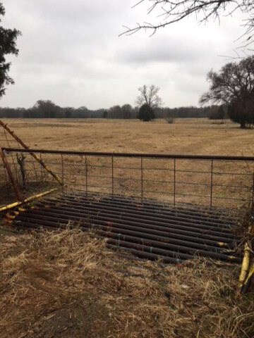 TBD Cr 1316, Malakoff, TX 75148 - photo 2