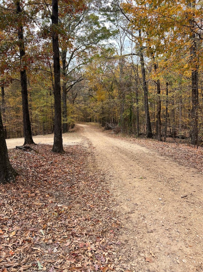 405 Cr 406, Carrollton, MS 38917 - photo 3