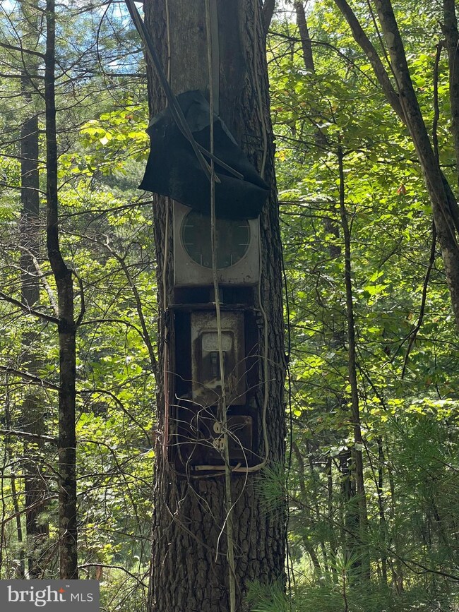 0 Sarah Ln unit VASH2009350, Basye, VA 22810 - photo 3