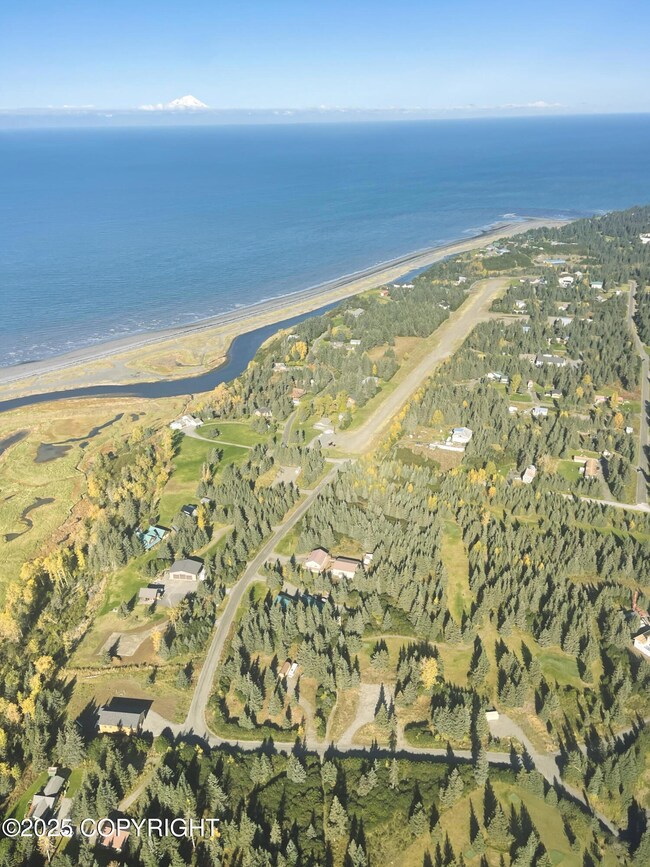 72715 Kingair Ave, Anchor Point, AK 99556 - photo 5